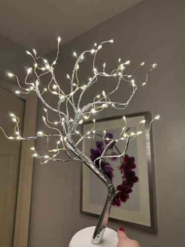 Customer photo review of Enchanted Bonsai™