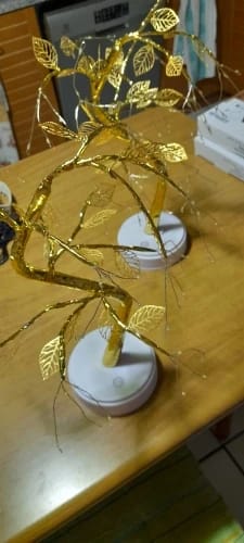 Customer photo review of Enchanted Bonsai™