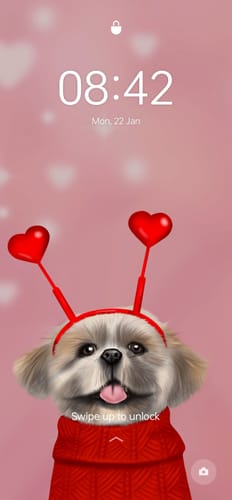 Customer photo review of Shih Tzu Phone Wallpaper