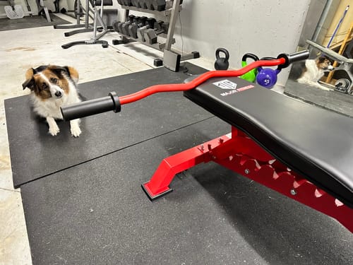 Customer photo review of Major Fitness 4ft Olympic EZ Curl Barbell