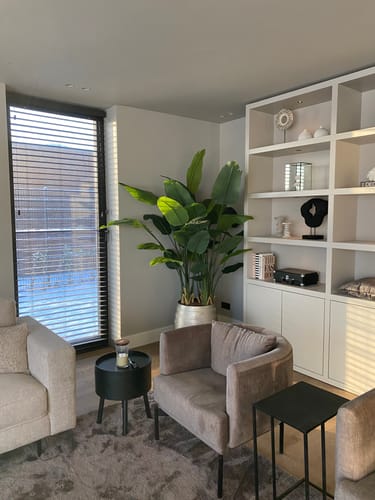 Customer photo review of Strelitzia Kunstplant 2 180cm