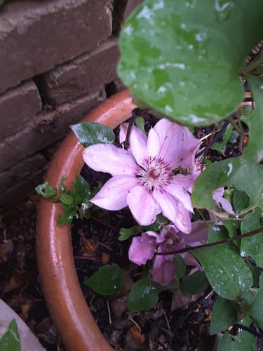 Customer photo review of Doris Mitchell Letters 1922