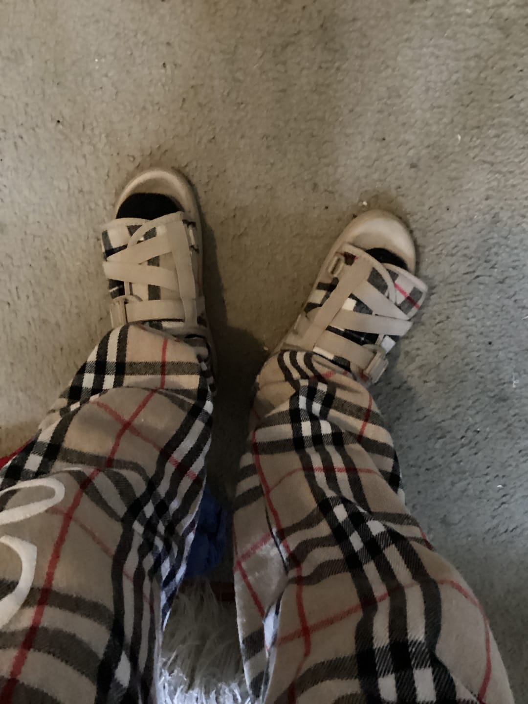 Customer photo review of Plaid Dracos