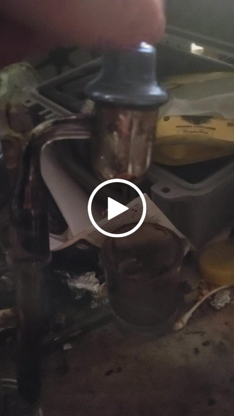 Customer video review of HONEY HIVE CARB CAP
