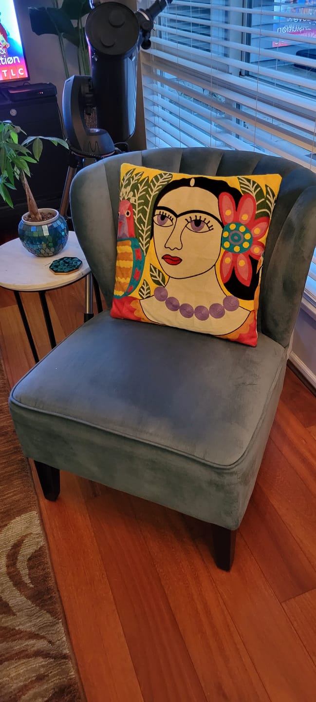 Customer photo review of Frida Kahlo Embroidery pillow Cases