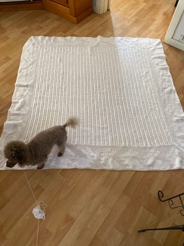Customer photo review of Sirdar Snuggly 3 ply