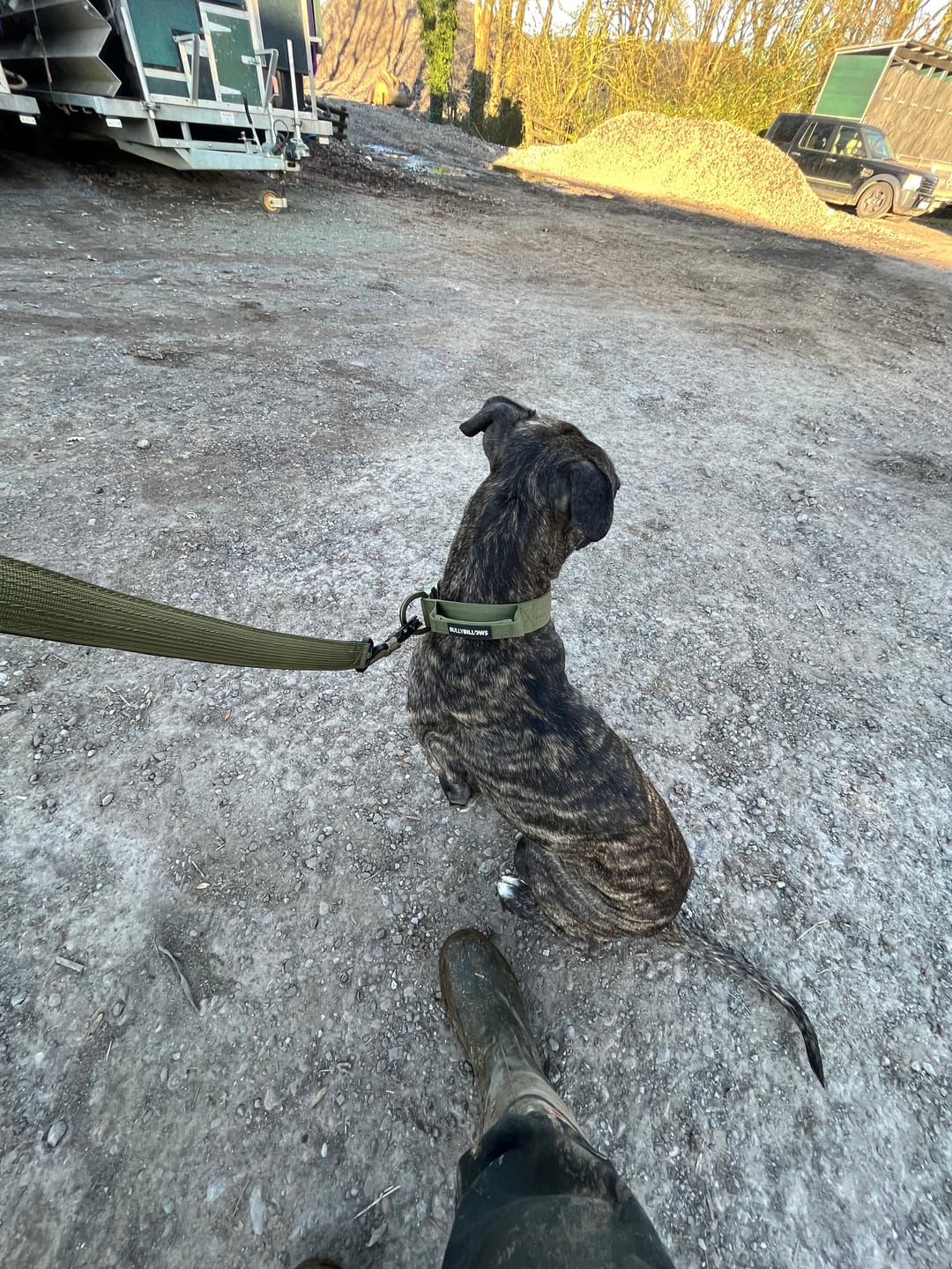 Customer photo review of 4cm LIGHTER Combat® Collar | With Handle Rated Clip - Khaki x Khaki