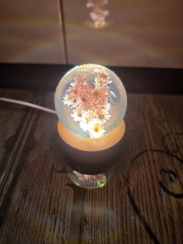 Customer photo review of Botanical Bloom Sphere Night Light