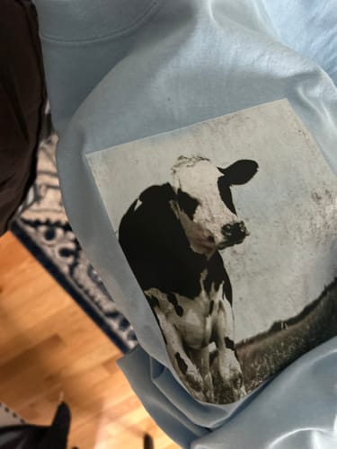 Customer photo review of Cow T-Shirt Baby Blue