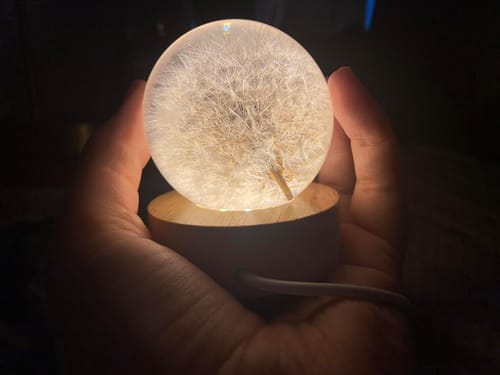 Customer photo review of Botanical Bloom Sphere Night Light
