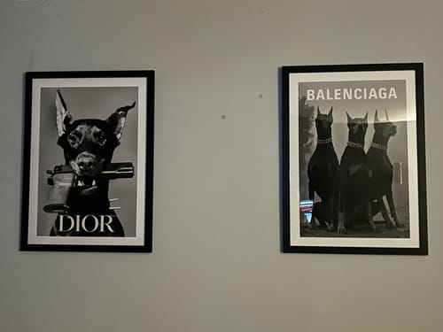 Customer photo review of Premium Fashion Print Dior