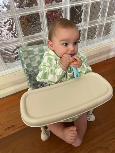 Customer photo review of Parker baby chair v2