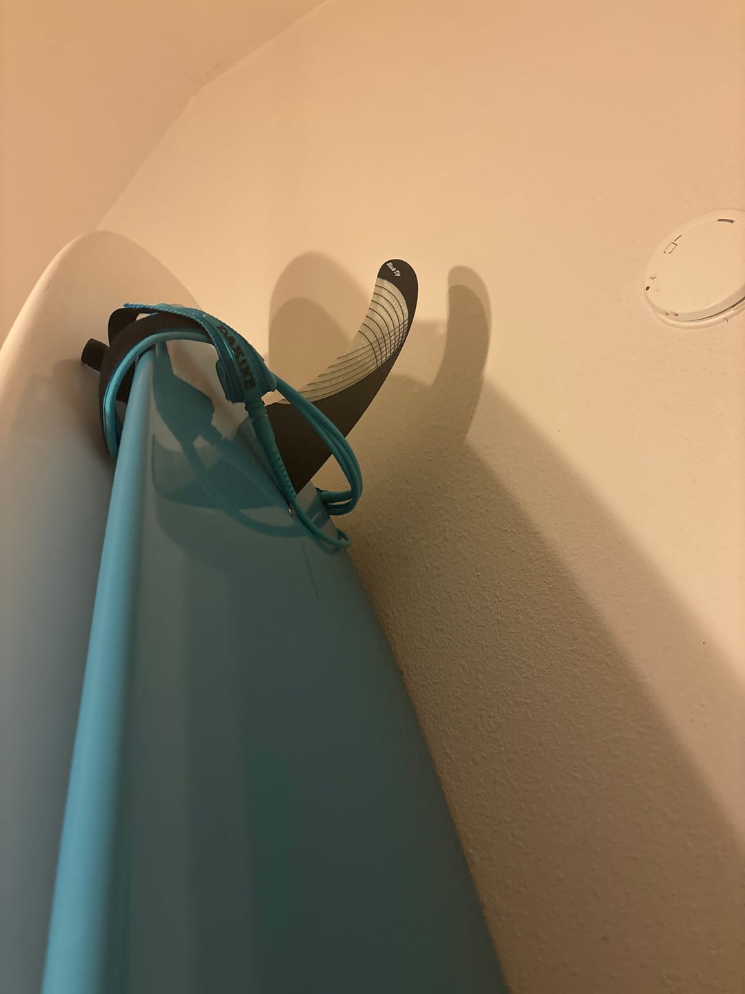 Customer photo review of Randy Rarick BLACK TIP FLEX Longboard Fin 7.5"-10.0" Carbon Super Flex Tip