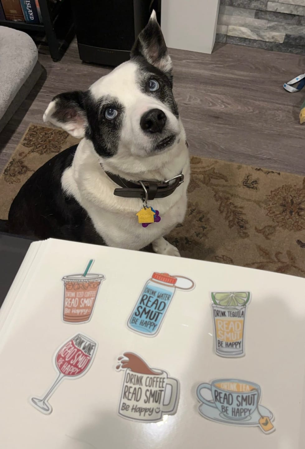 Customer photo review of drink water sticker