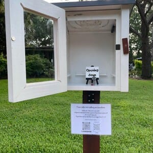 Customer photo review of Mini Shed Little Free Library