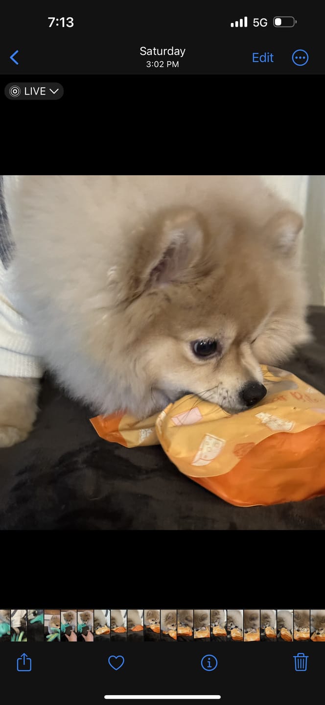 Customer photo review of All Natural Baked Biscuits - 10 oz