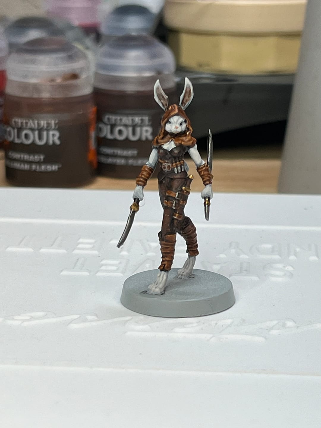Customer photo review of Harengon, Rogue