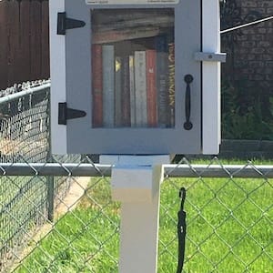Customer photo review of Mini Shed Little Free Library