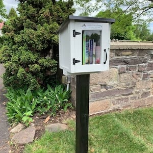 Customer photo review of Mini Shed Little Free Library