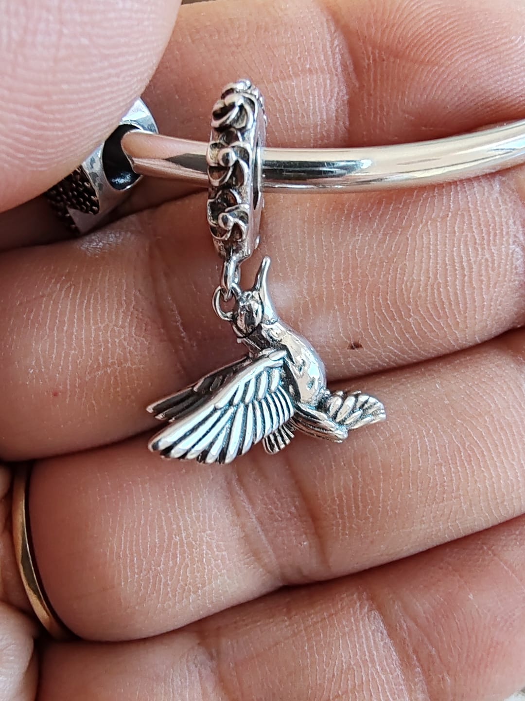 Customer photo review of Charm Colibri Mistico