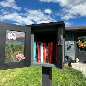 Customer photo review of Mini Shed Kit Little Free Library