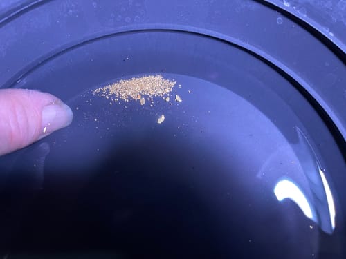 Customer photo review of Pioneer 'NUGGET HUNTER' - Gold Panning Paydirt