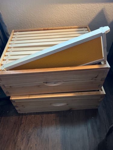 Customer photo review of BeeCastle Hives:10 Frame Wax-coated Cedar Wood Honey Super Medium Box with Unassembled Pine Wood Frame and 100% Beeswax Plastic Foundation