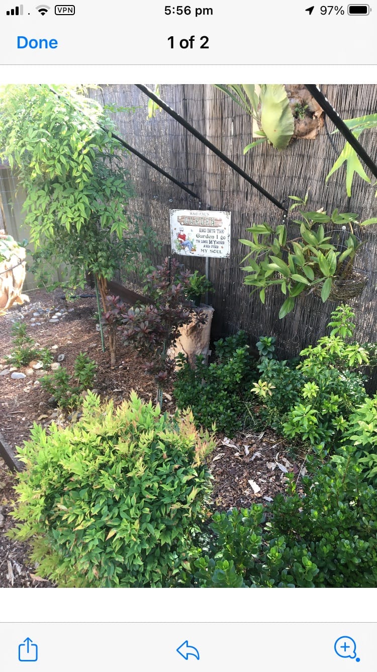 Customer photo review of And Into The Garden I Go Gardening Girl - Garden Sign - Personalized Custom Classic Metal Signs