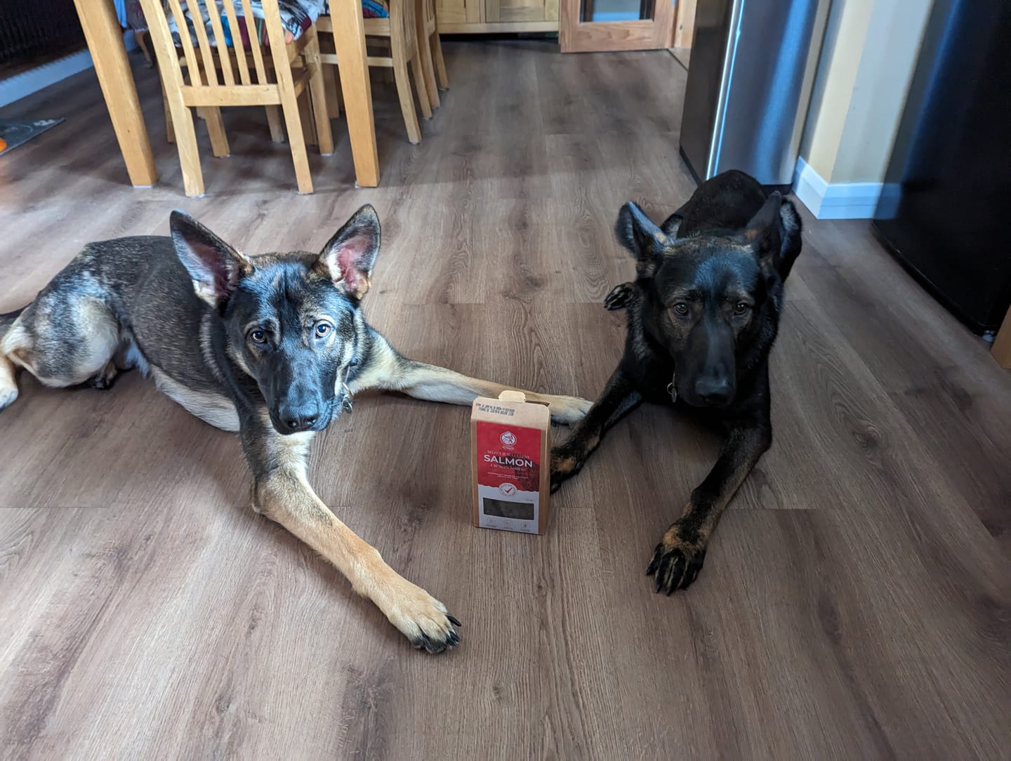 Customer photo review of Select Salmon - Dog Treats