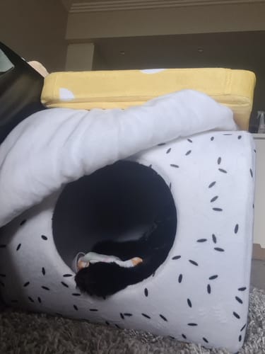 Customer photo review of ZeZe Sushi-shaped Multi-functional Chair and Cat Bed