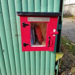 Customer photo review of Mini Shed Little Free Library