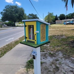 Customer photo review of Mini Shed Little Free Library