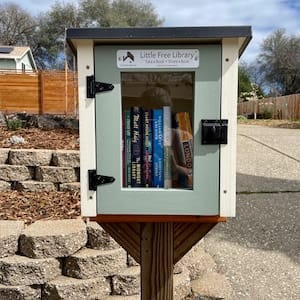 Customer photo review of Mini Shed Kit Little Free Library