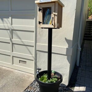 Customer photo review of Mini Shed Little Free Library