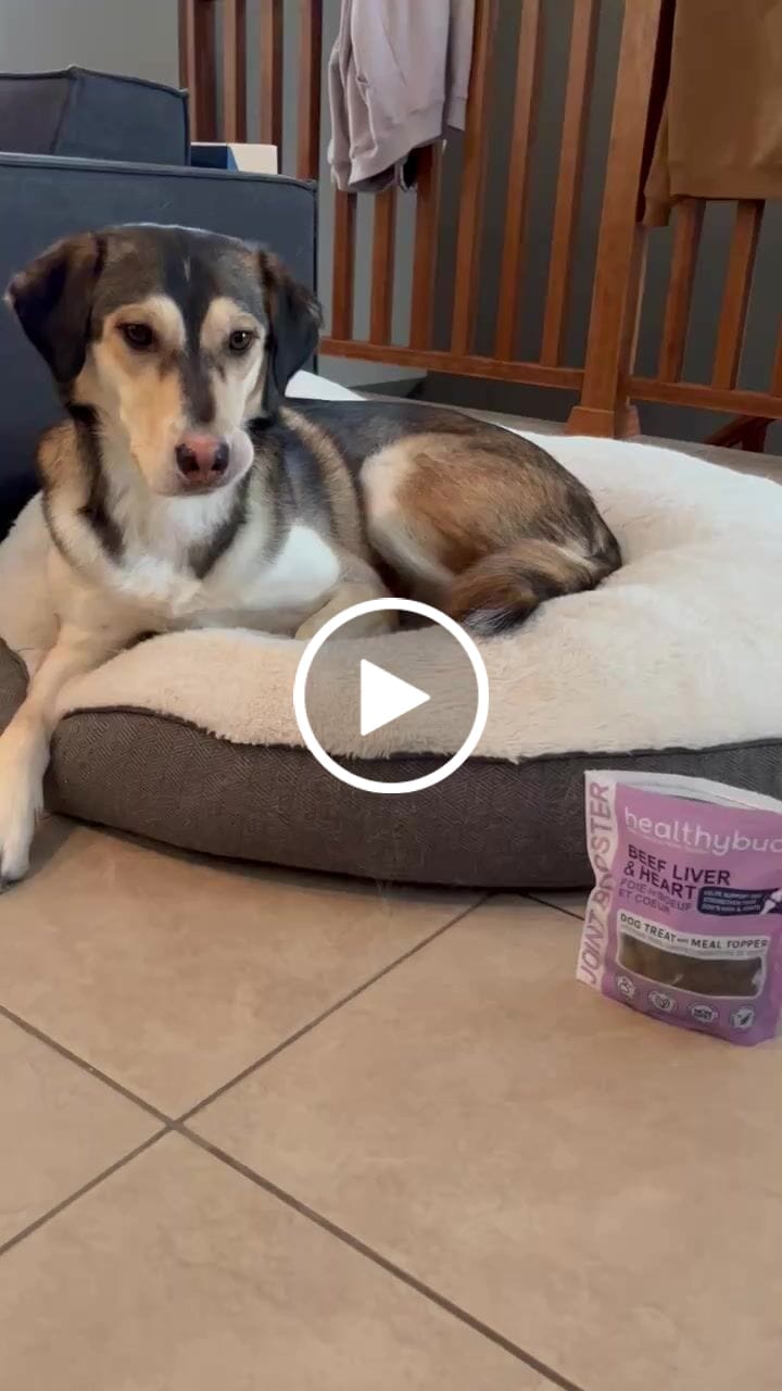 Customer video review of Beef Joint Booster