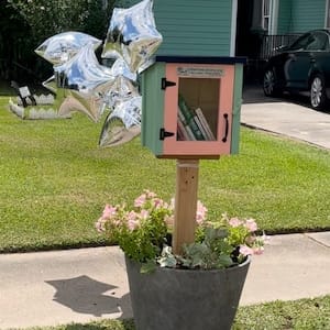 Customer photo review of Mini Shed Little Free Library