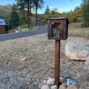 Customer photo review of Mini Shed Little Free Library
