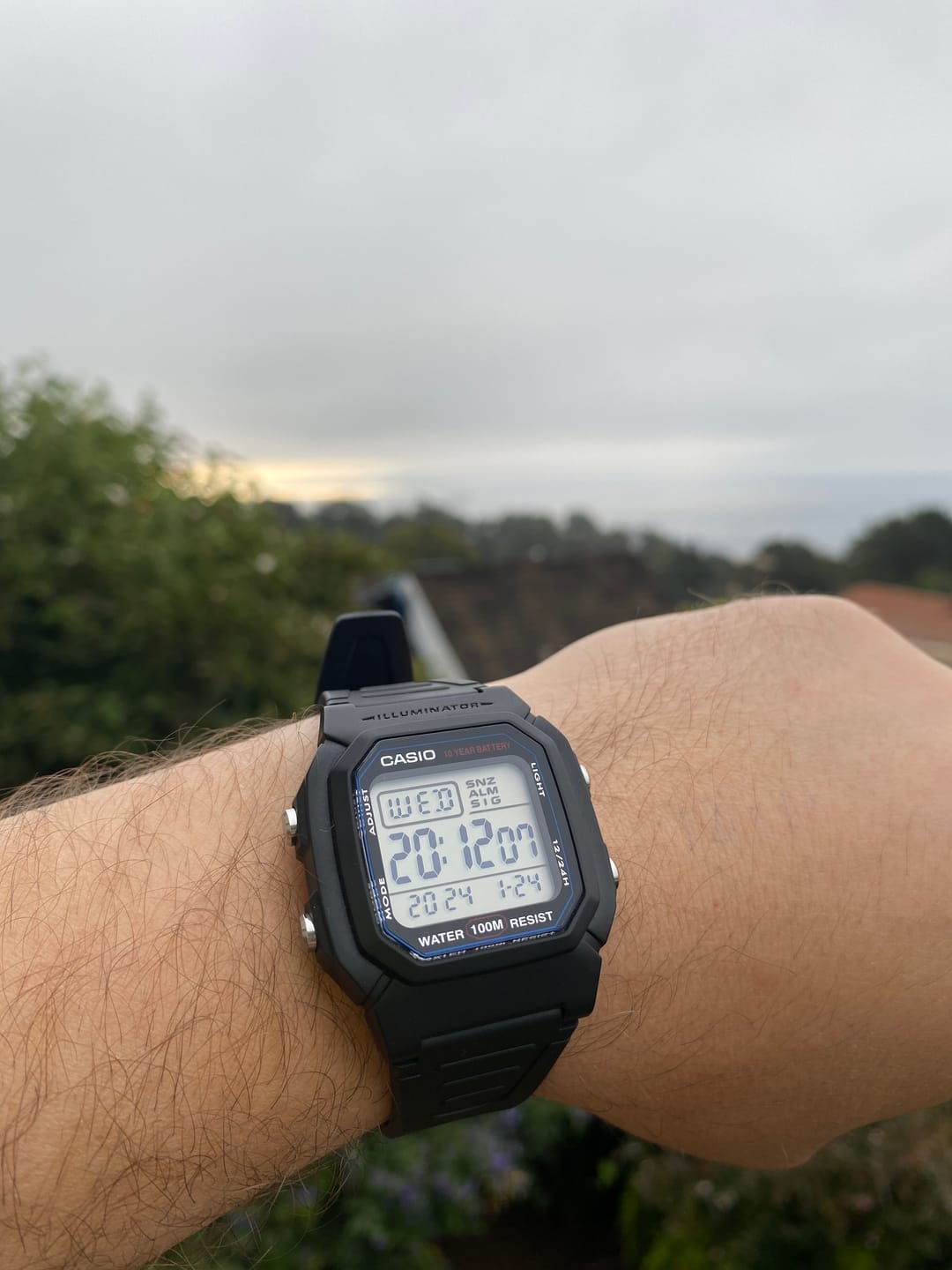 Customer photo review of Reloj Casio Vintage W-800H-1AVDF Líneas Azules
