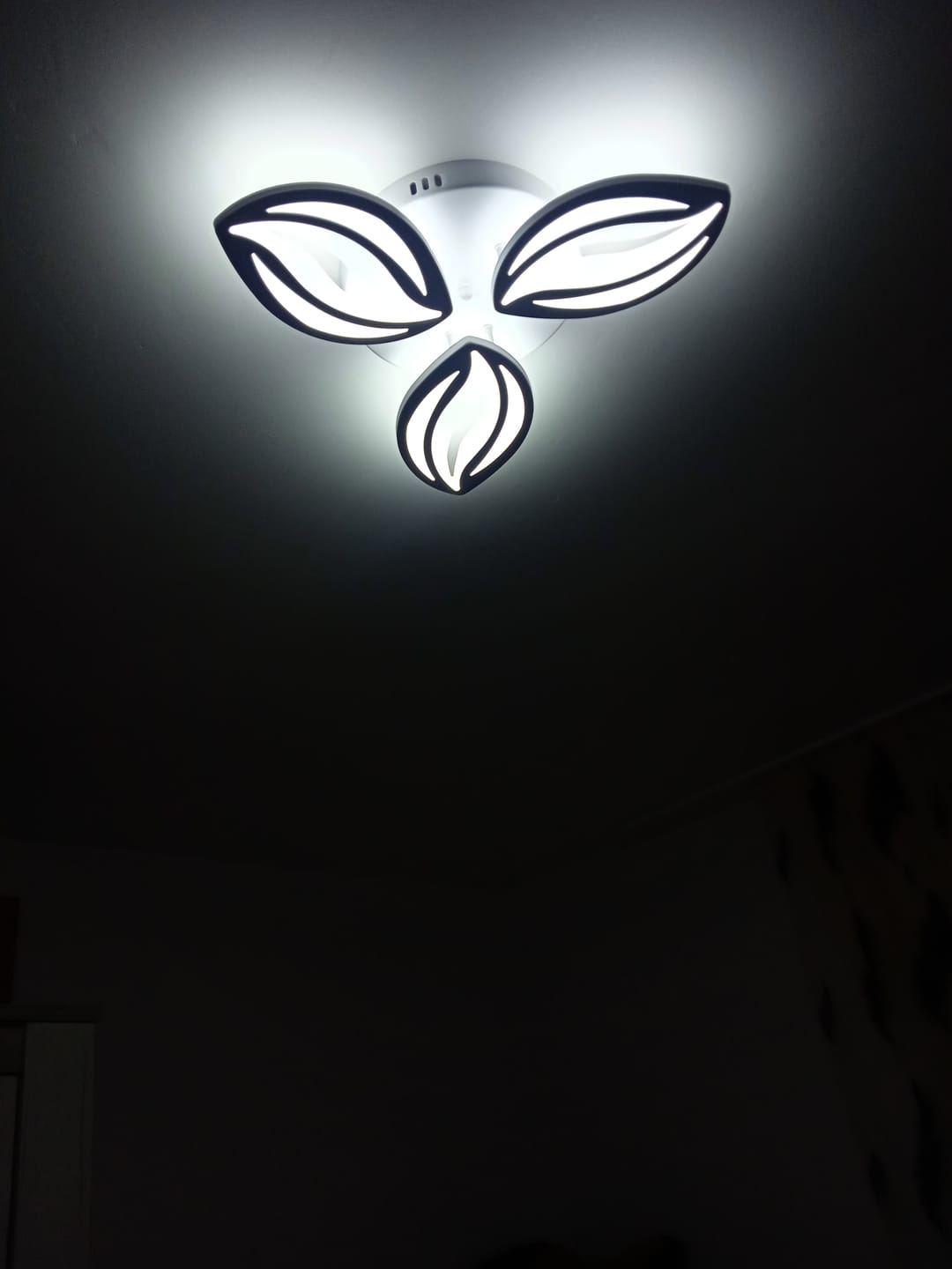 Customer photo review of Lustra LED Mini ANEMONE Echivalent 300W Telecomanda