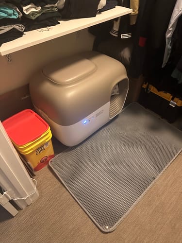 Customer photo review of Self-Cleaning Litter Box