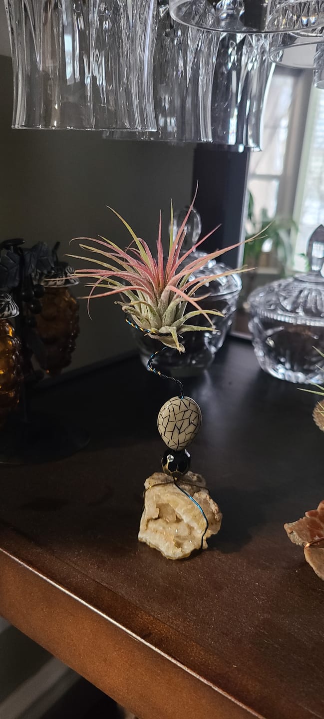 Customer photo review of B Quality Greenhouse Mix 10 Plant Pack