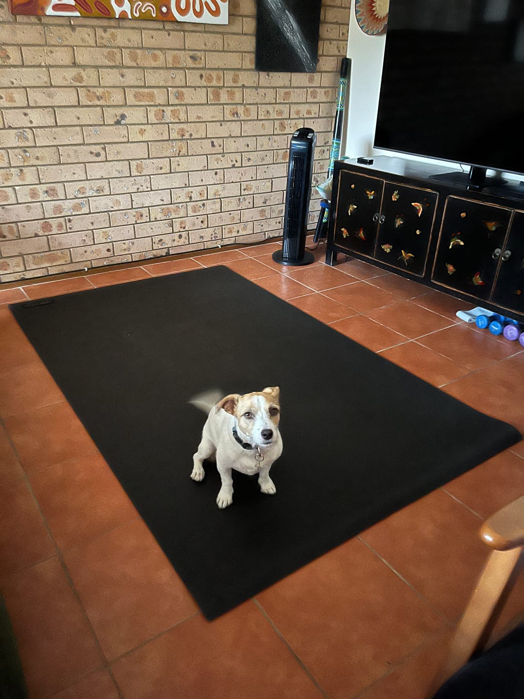 Customer photo review of Miramat® - 200cm x 120cm - Extra Large Exercise Mat - In Stock
