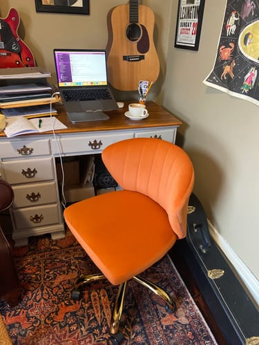 Customer photo review of Chandra Velvet Office Chair