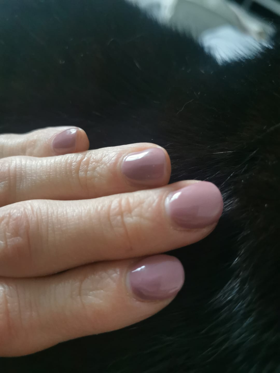 Customer photo review of Smalto Semipermanente LCI -  Rosso Tiziano