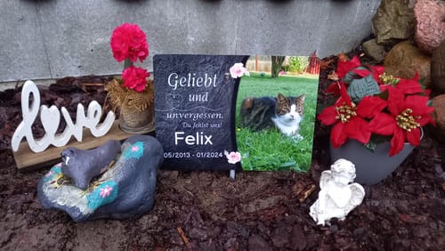Customer photo review of Hunde Gedenktafel mit Foto & Spruch (UV- & Wetterfest)