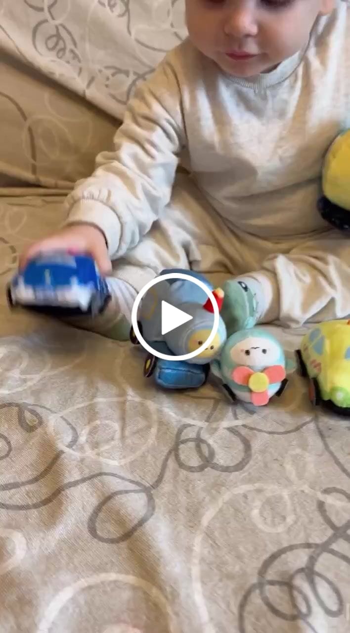 Customer video review of Personalized Baby's First Plush Playset Sound Toys Set