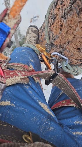 Customer photo review of Hurricane Pro (3600 TCS)