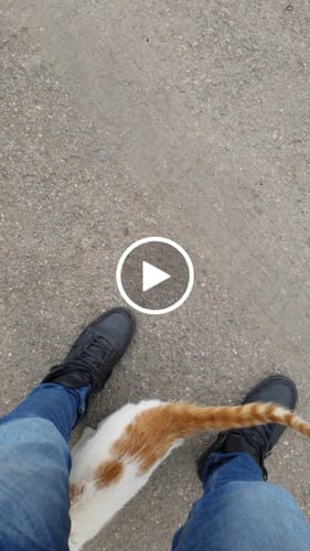 Customer video review of Skinny Stretchable Mid Rise Jeans (Blue)