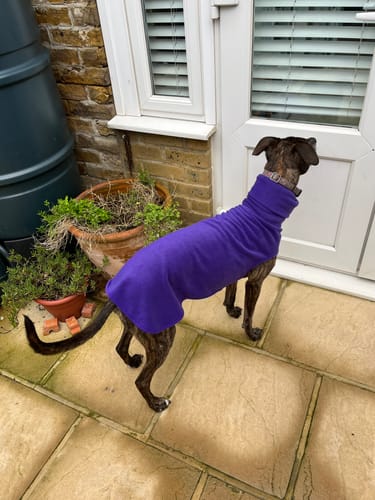 Customer photo review of Sighthound Sleeveless Fleece Sweater / Pullover / Jumper / Pyjamas