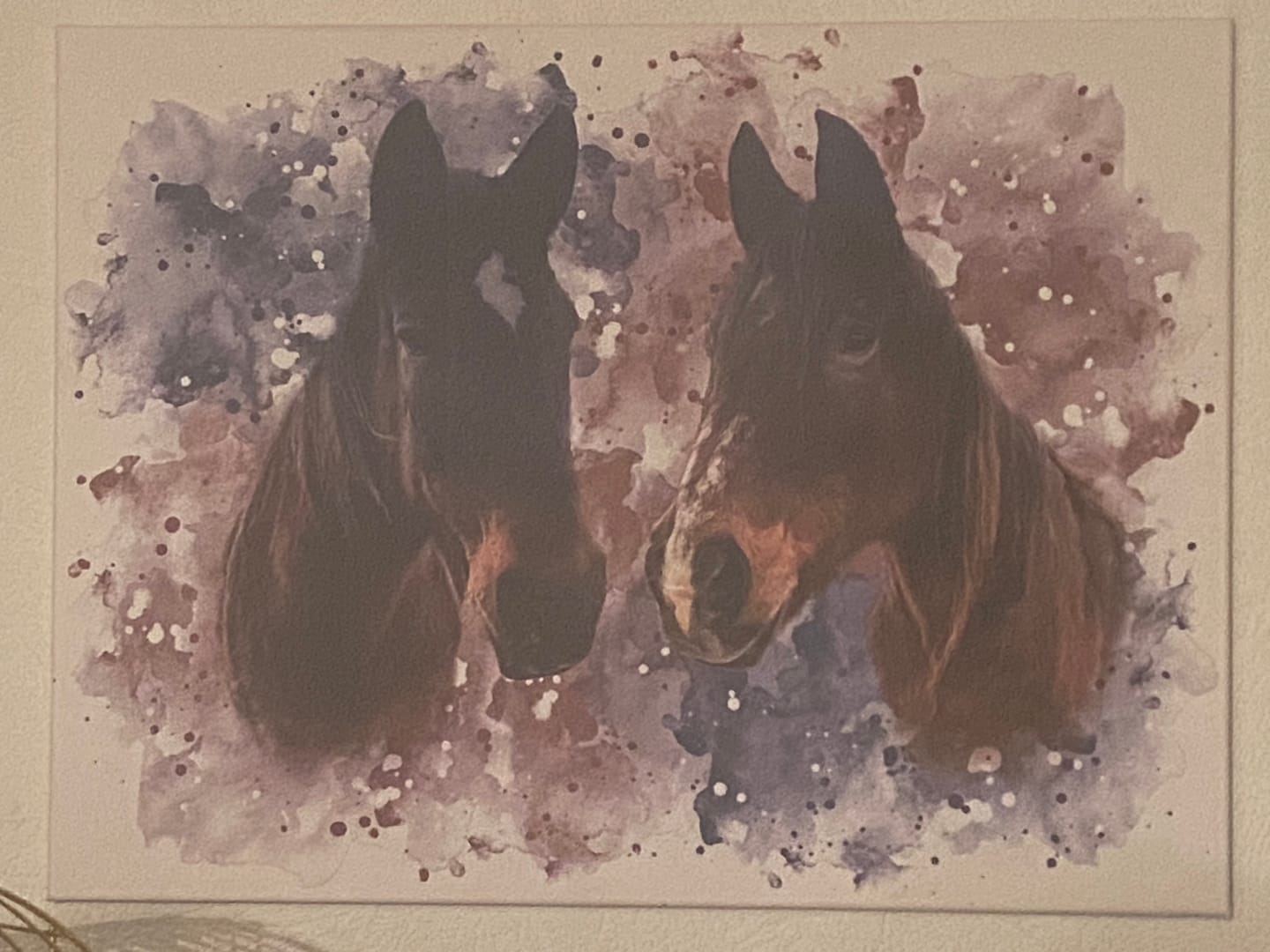 Customer photo review of Dein Pferd als Wasserfarben Portrait